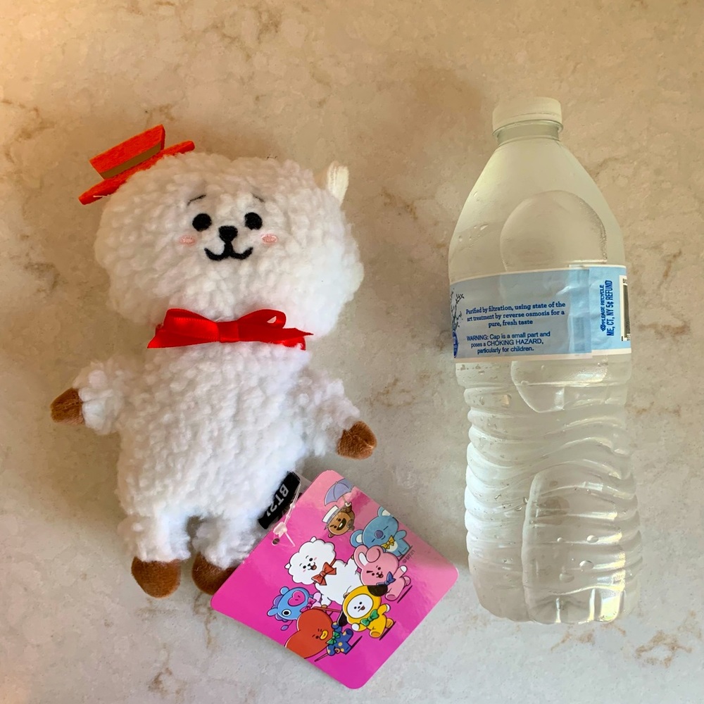RJ BT21 standing doll